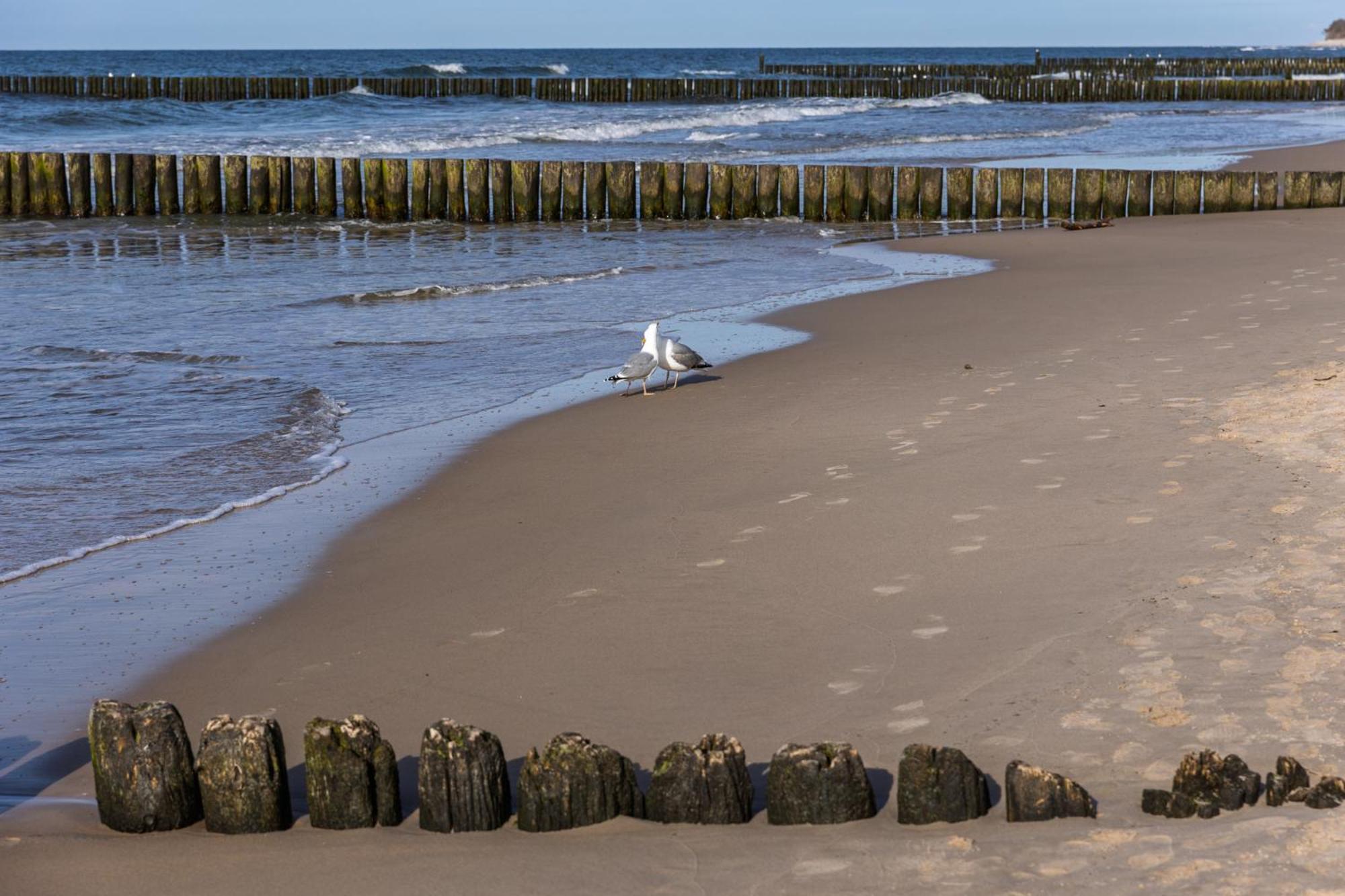 Apartamenty Silence&Sea Dwie Sosny Ustronie Morskie Exteriér fotografie